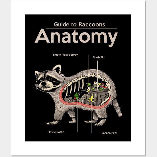 Anatomy of a Raccoon Wall Art by Vincent Trinidad Art